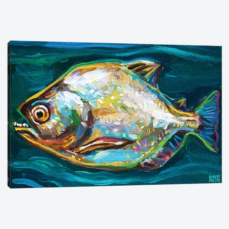 Piranha Canvas Print #RPH247} by Robert Phelps Art Print