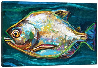 Piranha Canvas Art Print - Robert Phelps