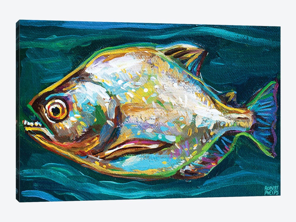 Piranha by Robert Phelps 1-piece Canvas Artwork