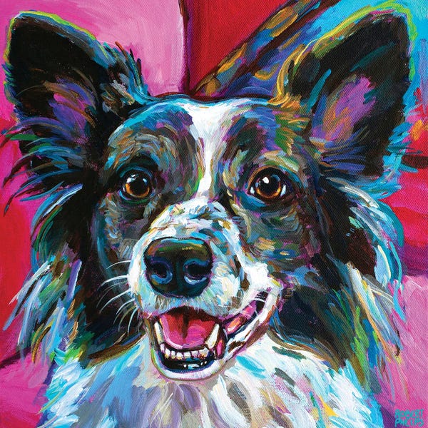 Border Collies: Merlin I by Robert Phelps