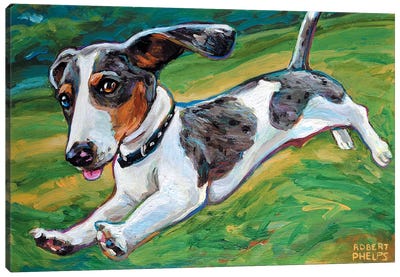 Dachshund Puppy Canvas Art Print - Puppy Art