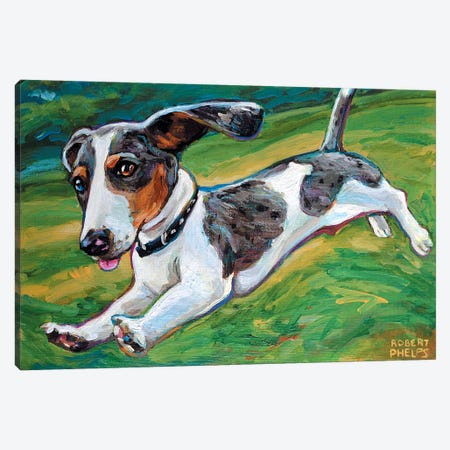 Dachshund Puppy Canvas Print #RPH24} by Robert Phelps Art Print
