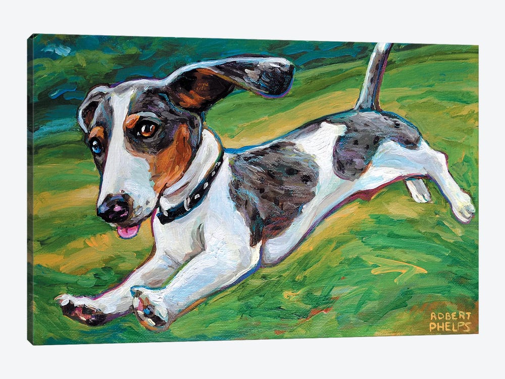 Dachshund Puppy by Robert Phelps 1-piece Canvas Wall Art