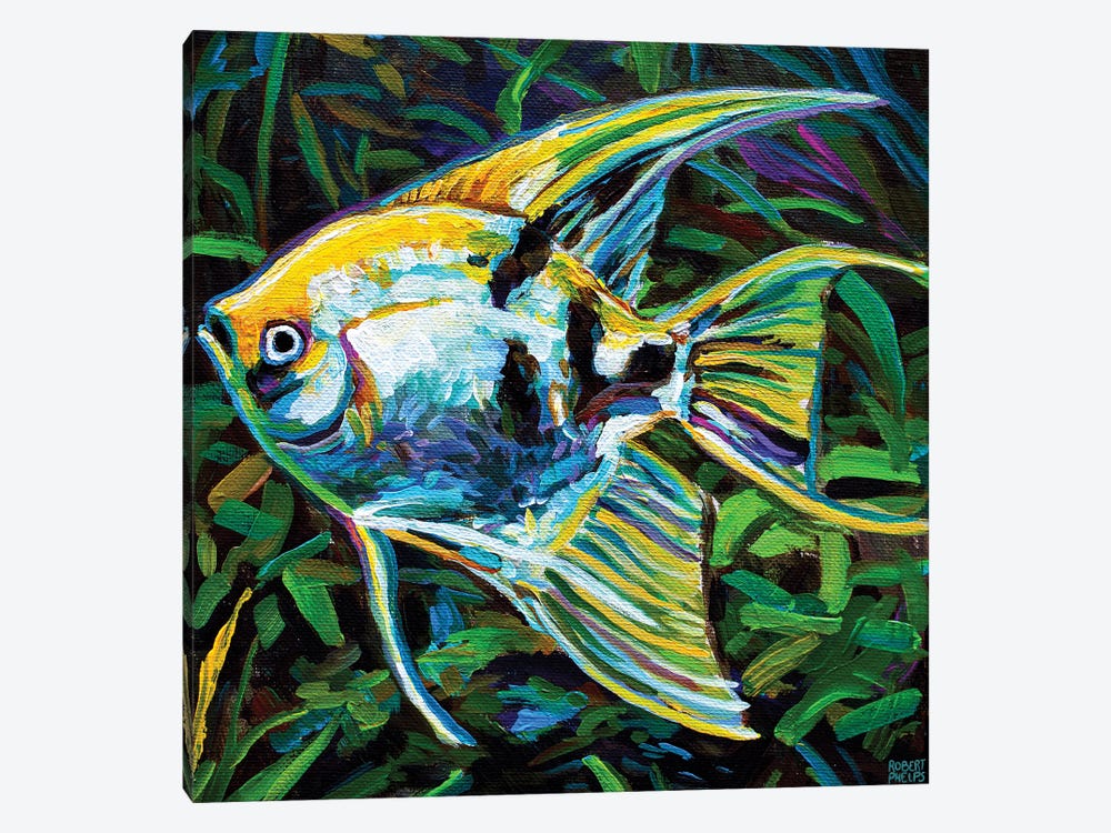 Angelfish I by Robert Phelps 1-piece Canvas Print