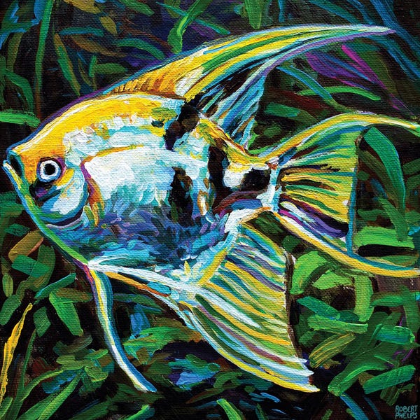 Angelfish: Angelfish I by Robert Phelps