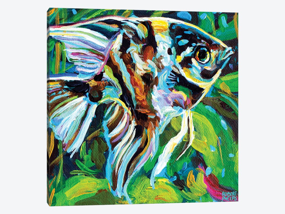 Angelfish II by Robert Phelps 1-piece Canvas Art