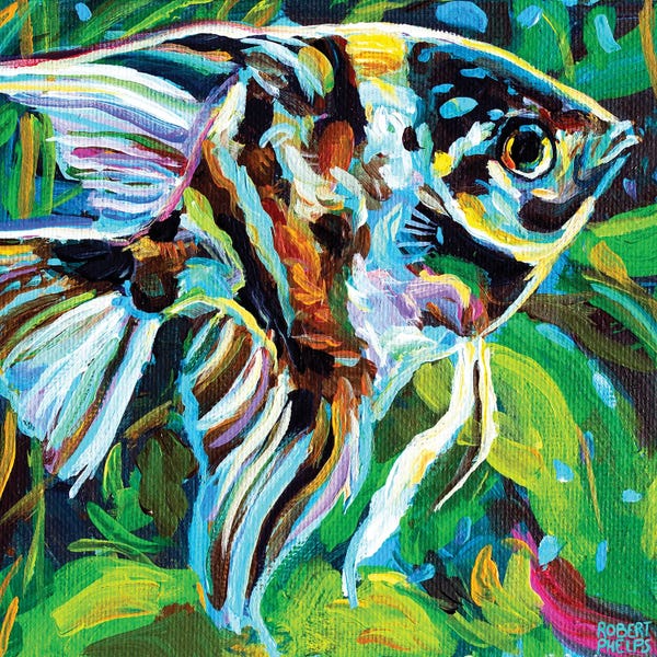 Angelfish: Angelfish II by Robert Phelps