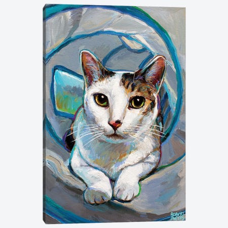Tunnel Kitty I Canvas Print #RPH253} by Robert Phelps Canvas Art Print