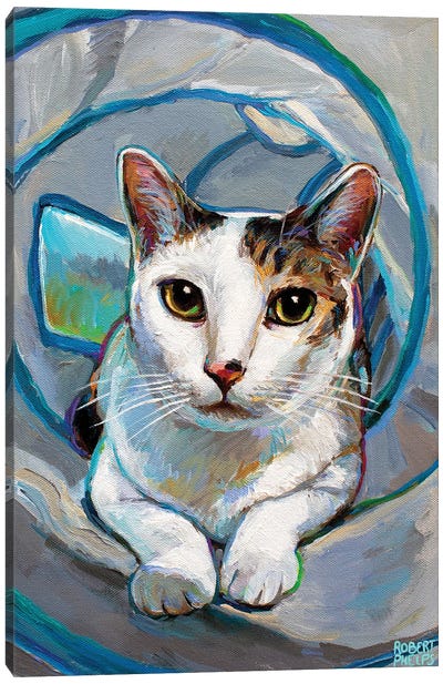 Tunnel Kitty I Canvas Art Print - Robert Phelps
