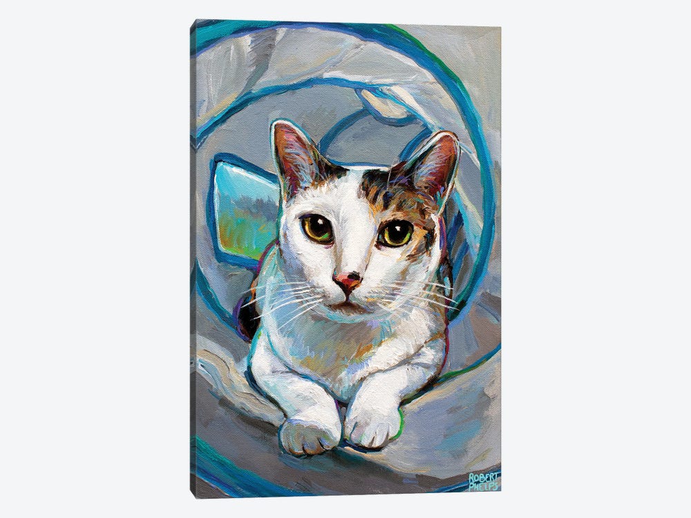 Tunnel Kitty I by Robert Phelps 1-piece Canvas Art Print