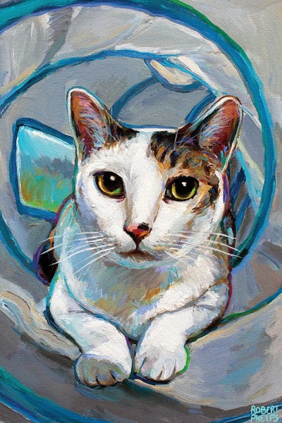 Robert Phelps: Tunnel Kitty I by Robert Phelps