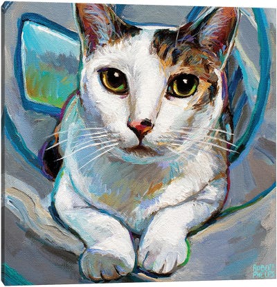 Tunnel Kitty II Canvas Art Print - Robert Phelps