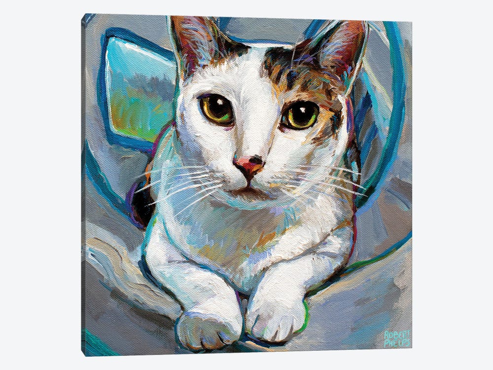 Tunnel Kitty II by Robert Phelps 1-piece Canvas Artwork