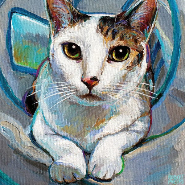 Robert Phelps: Tunnel Kitty II by Robert Phelps
