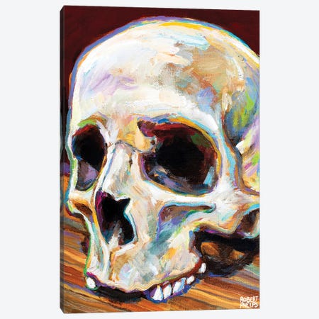 Classic Skull Canvas Print #RPH255} by Robert Phelps Canvas Art