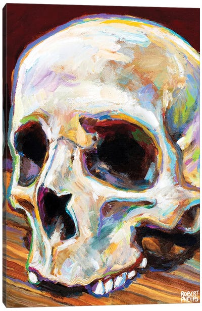 Classic Skull Canvas Art Print - Robert Phelps