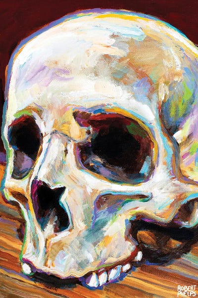 Robert Phelps: Classic Skull by Robert Phelps