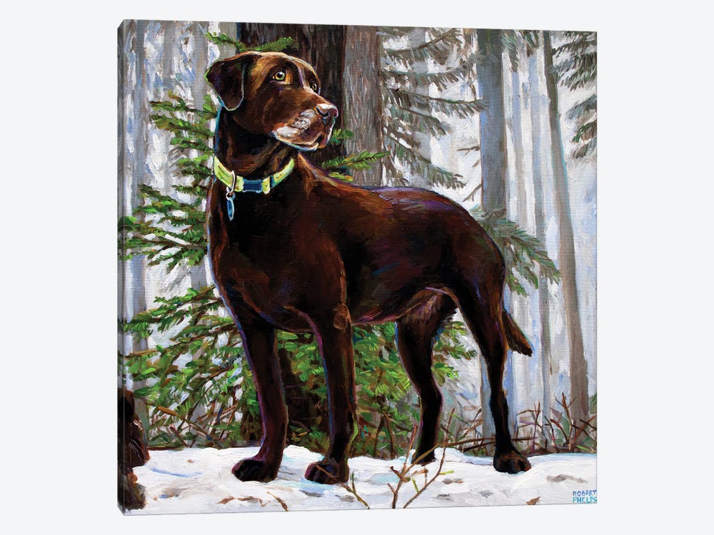 Ellie In The Snow by Robert Phelps 1-piece Canvas Art