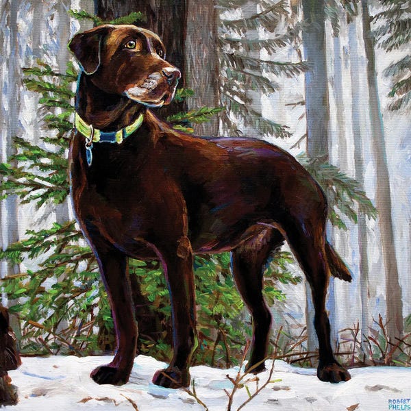 Robert Phelps: Ellie In The Snow by Robert Phelps