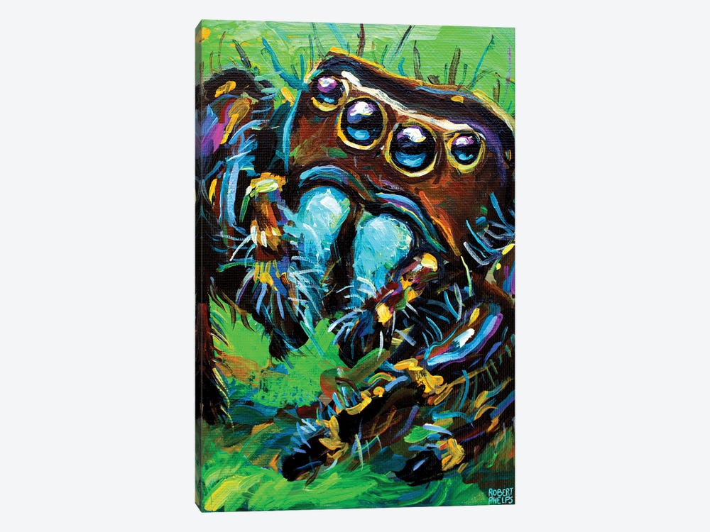 Jumping Spider I by Robert Phelps 1-piece Canvas Art Print