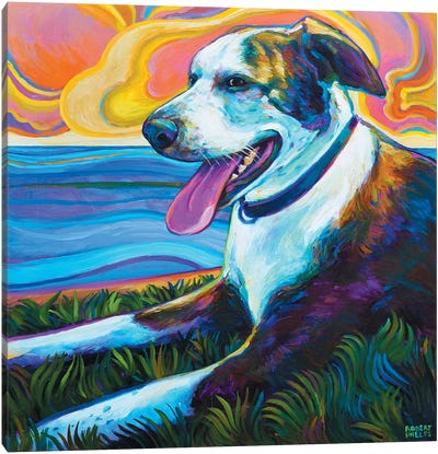 Dog By Seawall Canvas Art Print - Robert Phelps