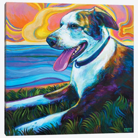 Dog By Seawall Canvas Print #RPH25} by Robert Phelps Canvas Art Print