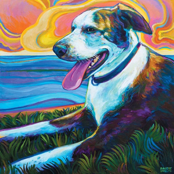 Robert Phelps: Dog By Seawall by Robert Phelps
