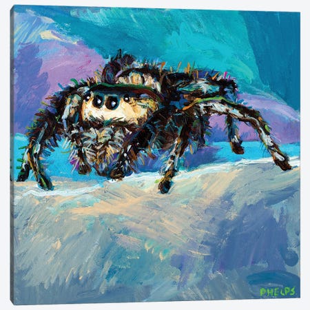 Jumping Spider II Canvas Print #RPH260} by Robert Phelps Canvas Wall Art
