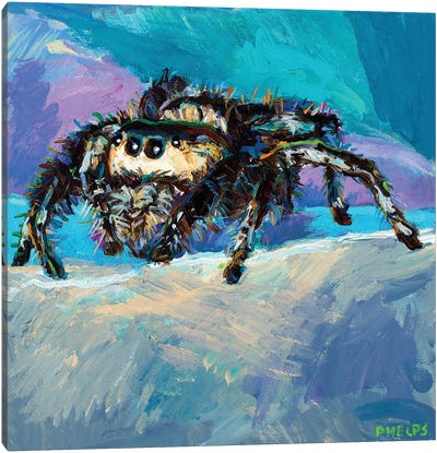 Jumping Spider II Canvas Art Print - Spider Art