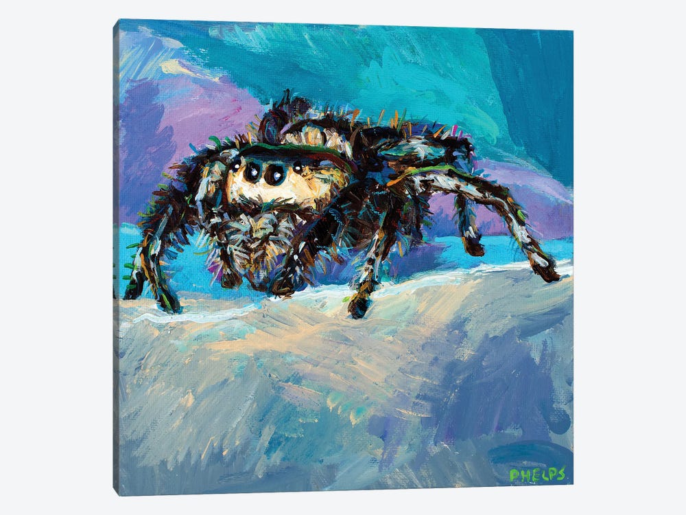 Jumping Spider II by Robert Phelps 1-piece Canvas Print