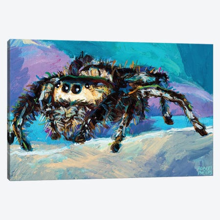 Jumping Spider III Canvas Print #RPH261} by Robert Phelps Canvas Art