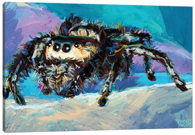 Jumping Spider III Canvas Art Print - Spider Art