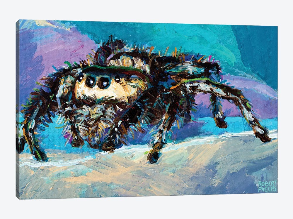 Jumping Spider III by Robert Phelps 1-piece Canvas Artwork