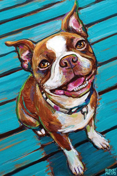 Cookie The Red Boston Terrier by Robert Phelps art print