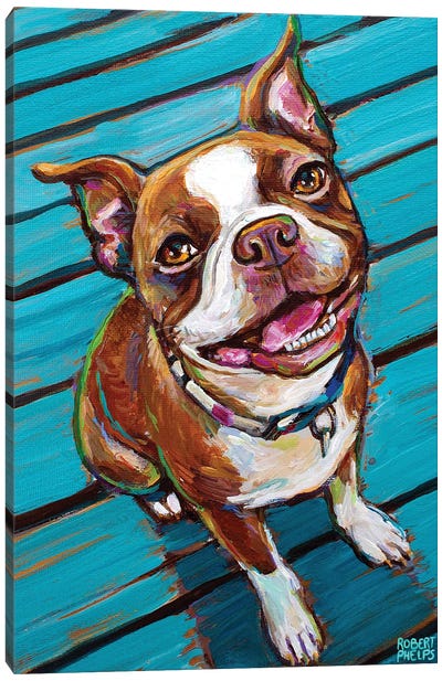 Cookie The Red Boston Terrier Canvas Art Print - Boston Terrier Art