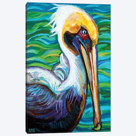 Florida Pelican Canvas Print #RPH263} by Robert Phelps Canvas Wall Art