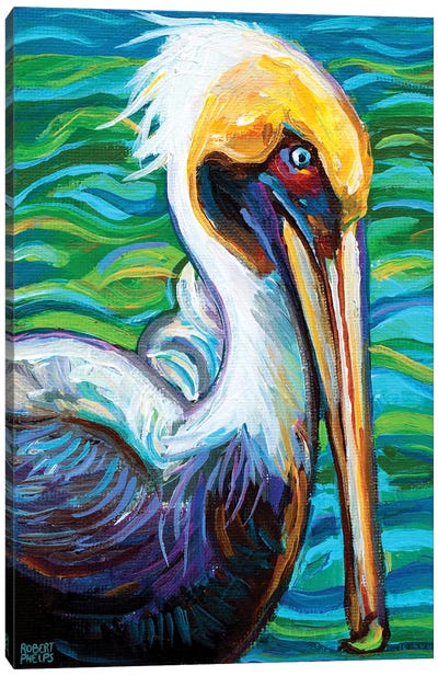 Florida Pelican Canvas Art Print - Robert Phelps