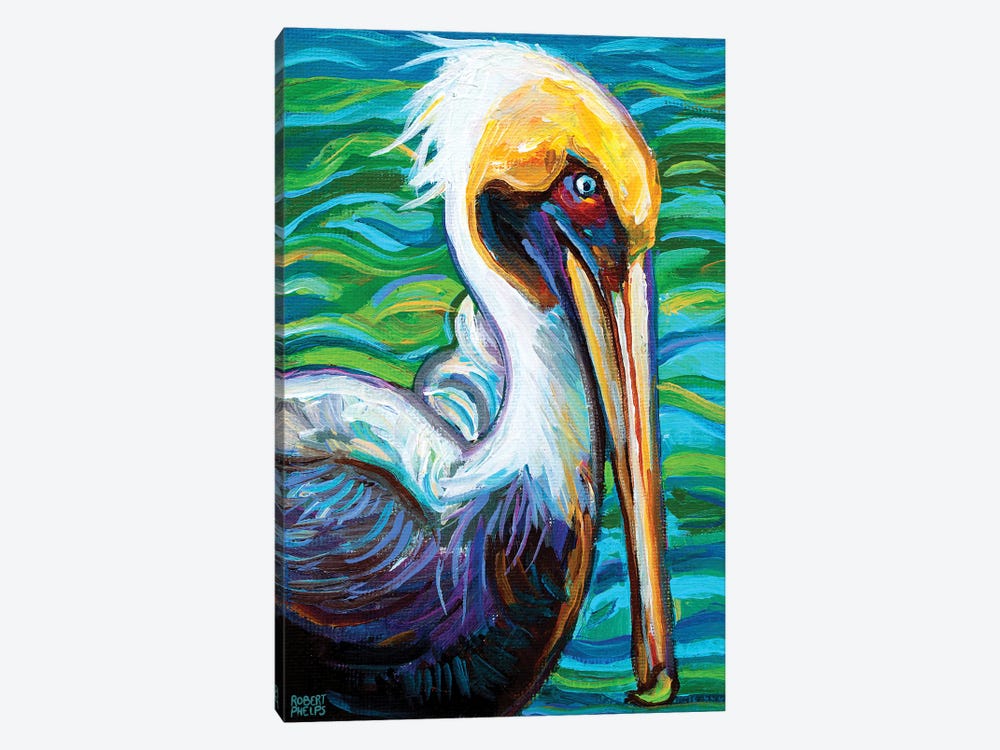 Florida Pelican by Robert Phelps 1-piece Canvas Wall Art