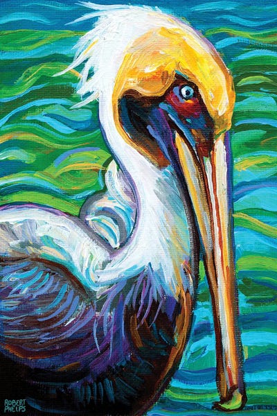 Azure Blue: Florida Pelican by Robert Phelps