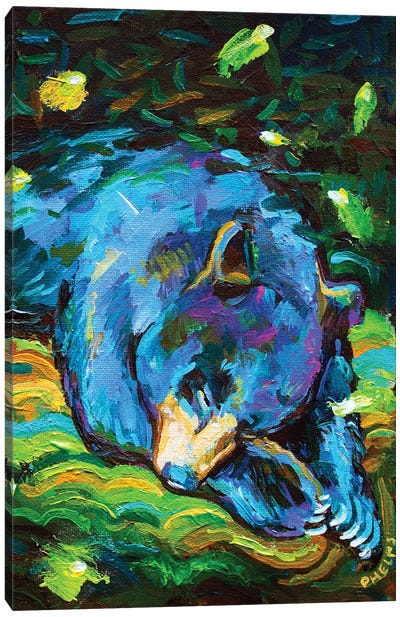 Sleepy Bear Canvas Art Print - Black Bear Art