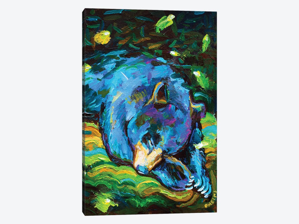 Sleepy Bear by Robert Phelps 1-piece Canvas Art Print