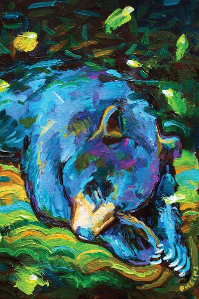 Black Bears: Sleepy Bear by Robert Phelps