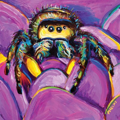Gwen The Spider by Robert Phelps framed canvas print