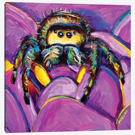 Gwen The Spider Canvas Print #RPH266} by Robert Phelps Canvas Art Print