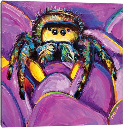 Gwen The Spider Canvas Art Print - Robert Phelps
