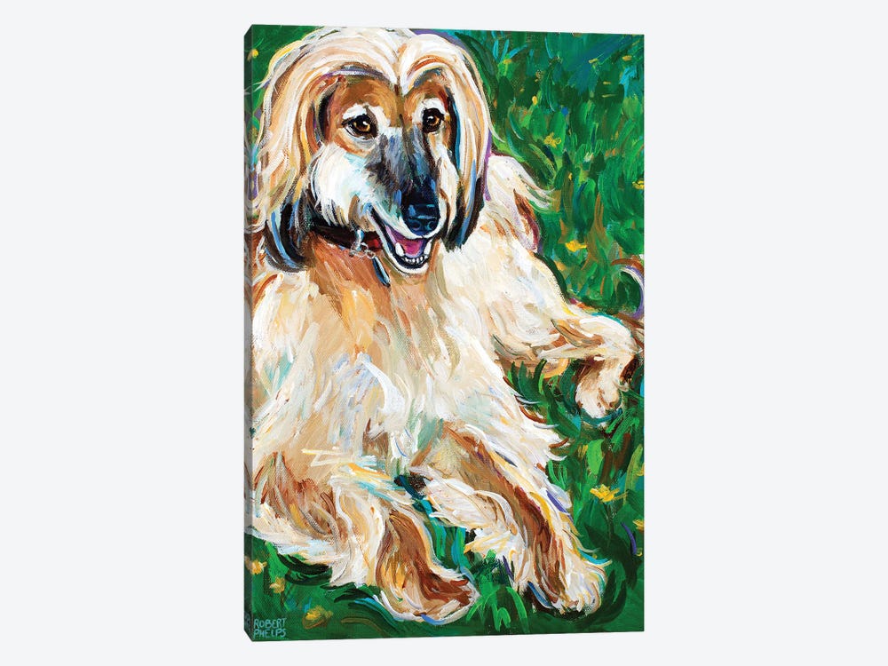 Afghan Hound by Robert Phelps 1-piece Canvas Art