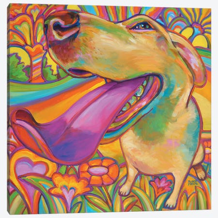 Dog Daze Of Summer Canvas Print #RPH26} by Robert Phelps Art Print