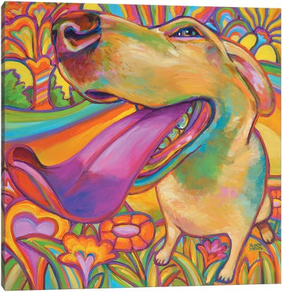 Dog Daze Of Summer Canvas Art Print - Robert Phelps