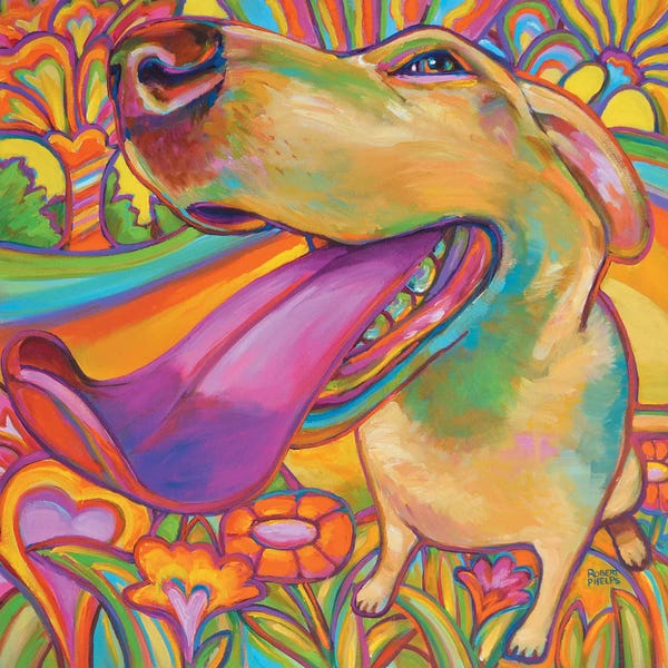 Labrador Retrievers: Dog Daze Of Summer by Robert Phelps