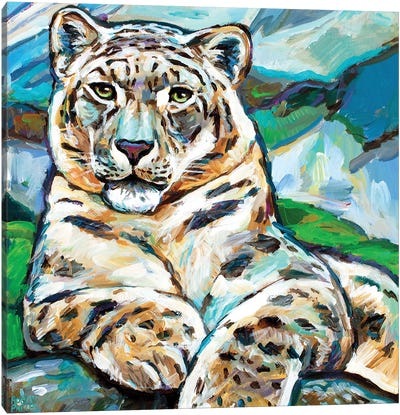 Snow Leopard II Canvas Art Print - Robert Phelps